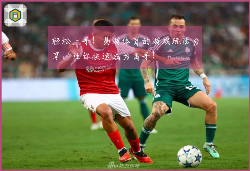 轻松上手！易游体育的游戏玩法分享，让你快速成为高手！