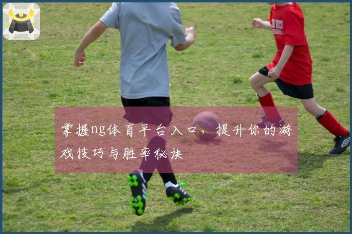 掌握ng体育平台入口，提升你的游戏技巧与胜率秘诀