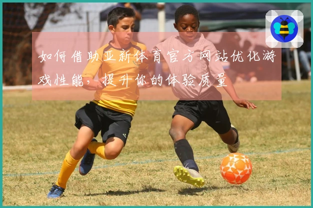 如何借助亚新体育官方网站优化游戏性能，提升你的体验质量